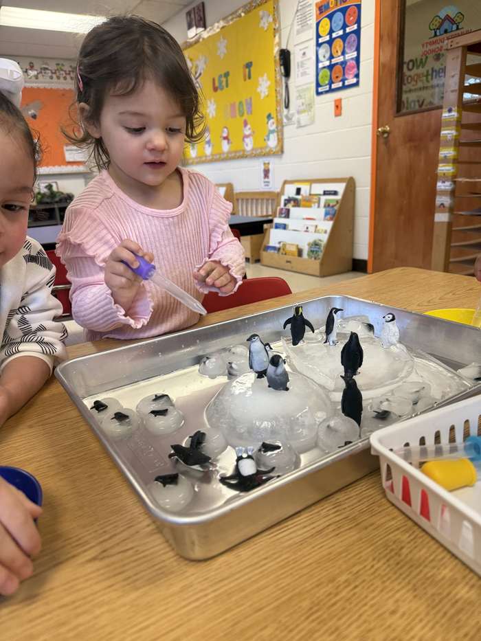 A child exploring an icy penguin sensory bin as part of a science activity